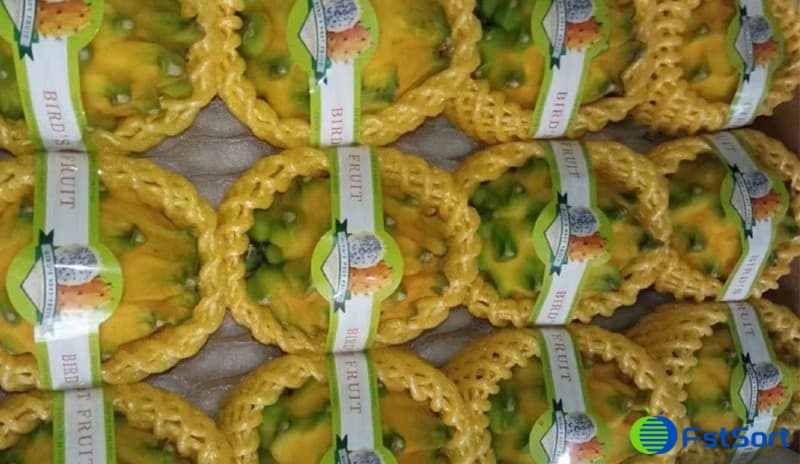 images/1712562696406fruta kirin1.jpg